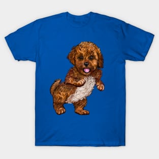 Cavapoo Cavoodle puppy laughing and dancing- cute cavalier king charles spaniel T-Shirt